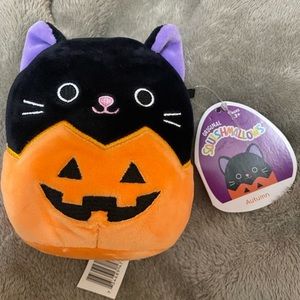 autumn the cat/pumpkin squishmallow